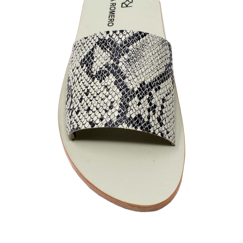 Sand Snake